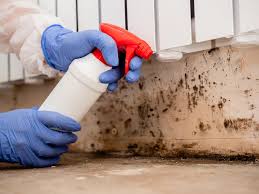 Best Comprehensive Air Testing for Mold Contaminants  in New Market, VA